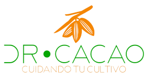 Logo Dr Cacao